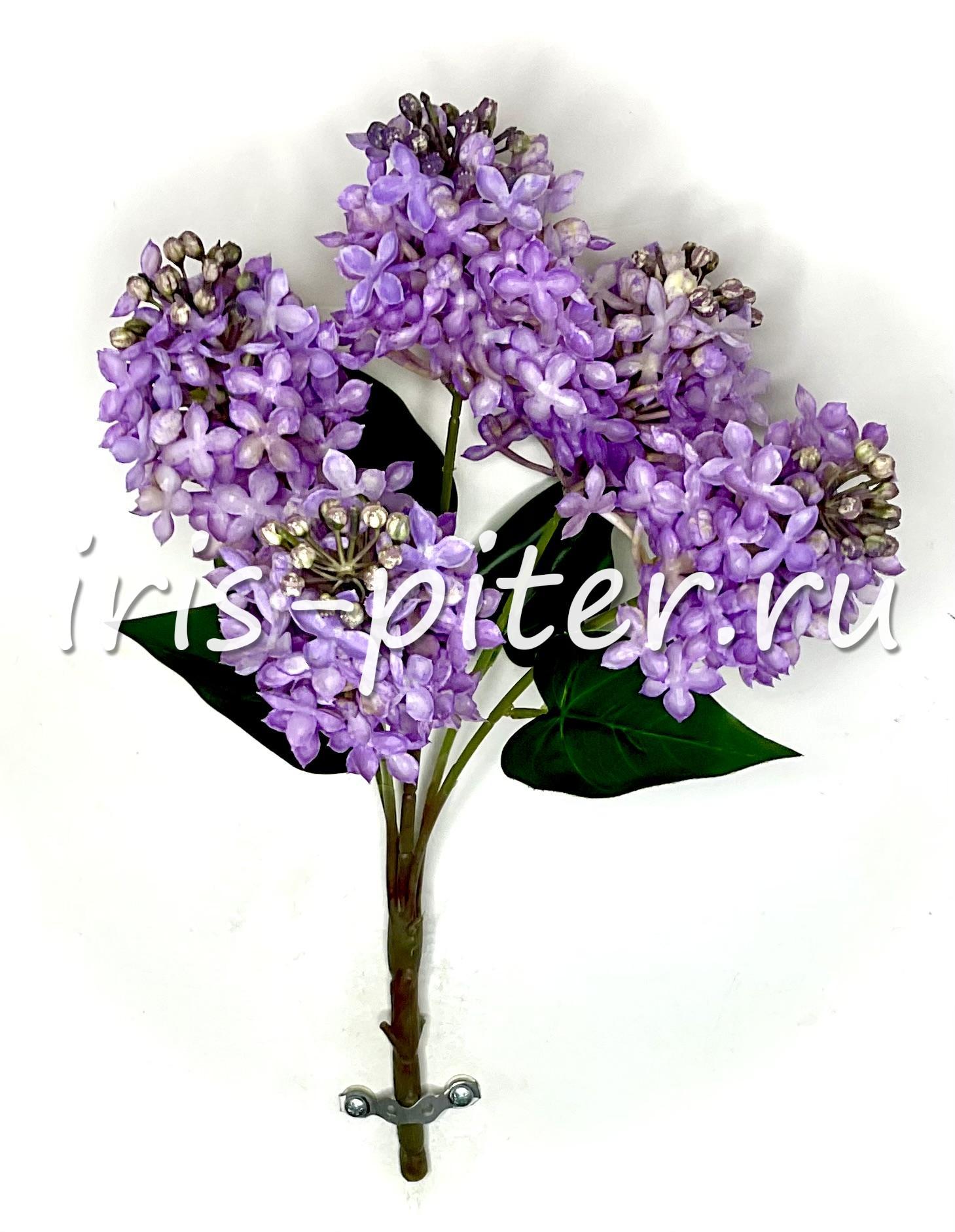 сирень 5вет латекс 