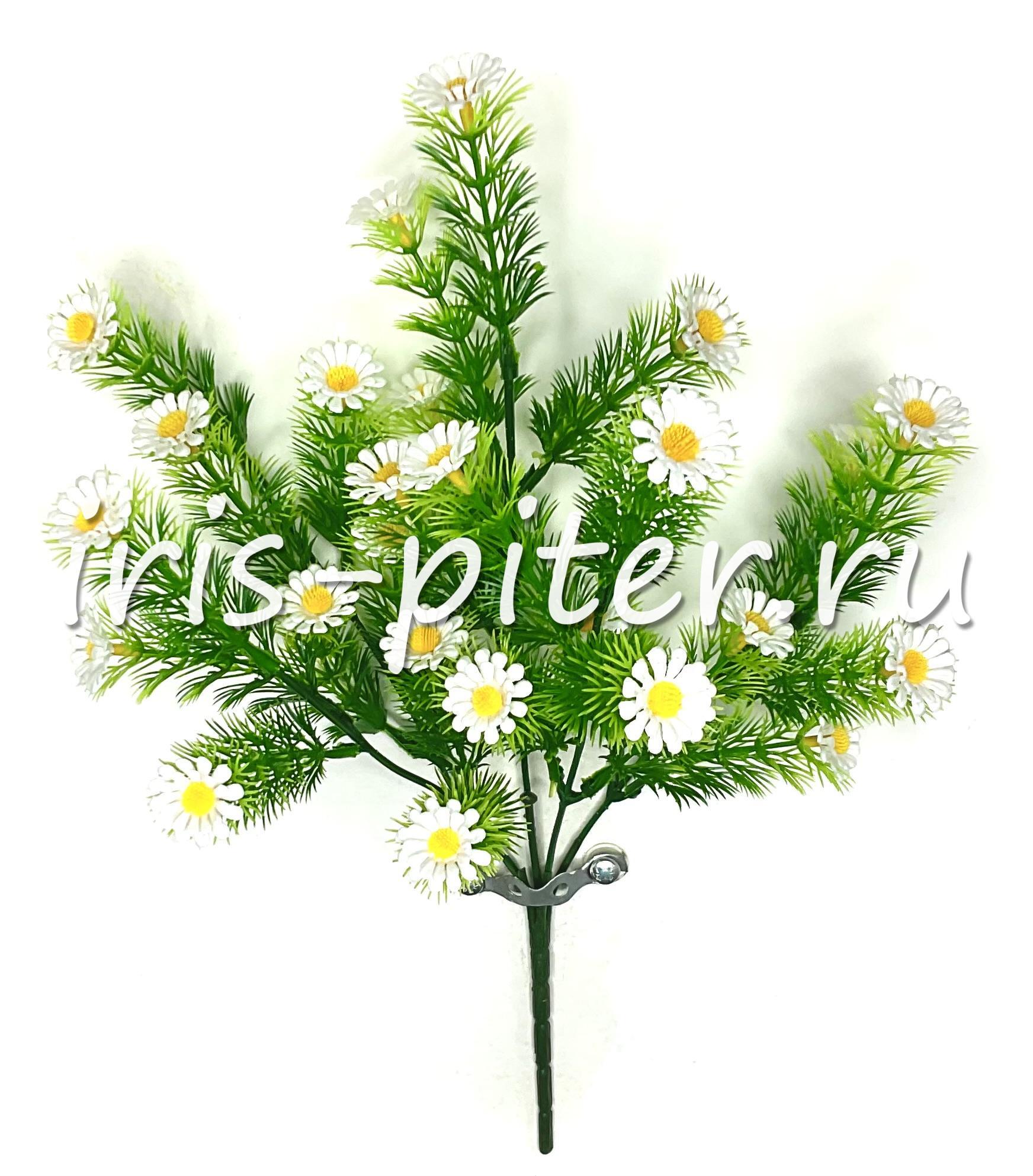 Букет ромашка 5вет 25г