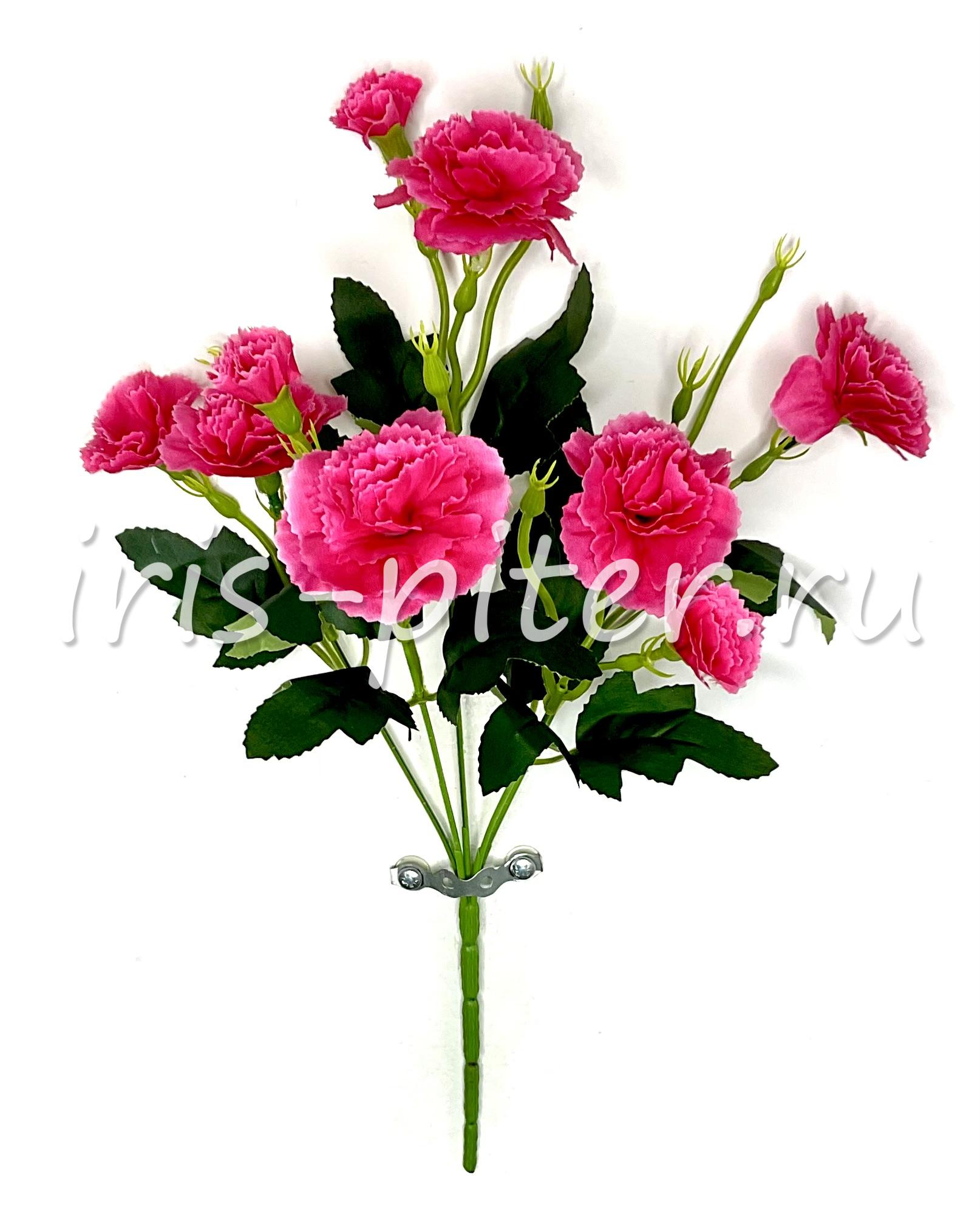 Букет гвоздика 5г 5бут