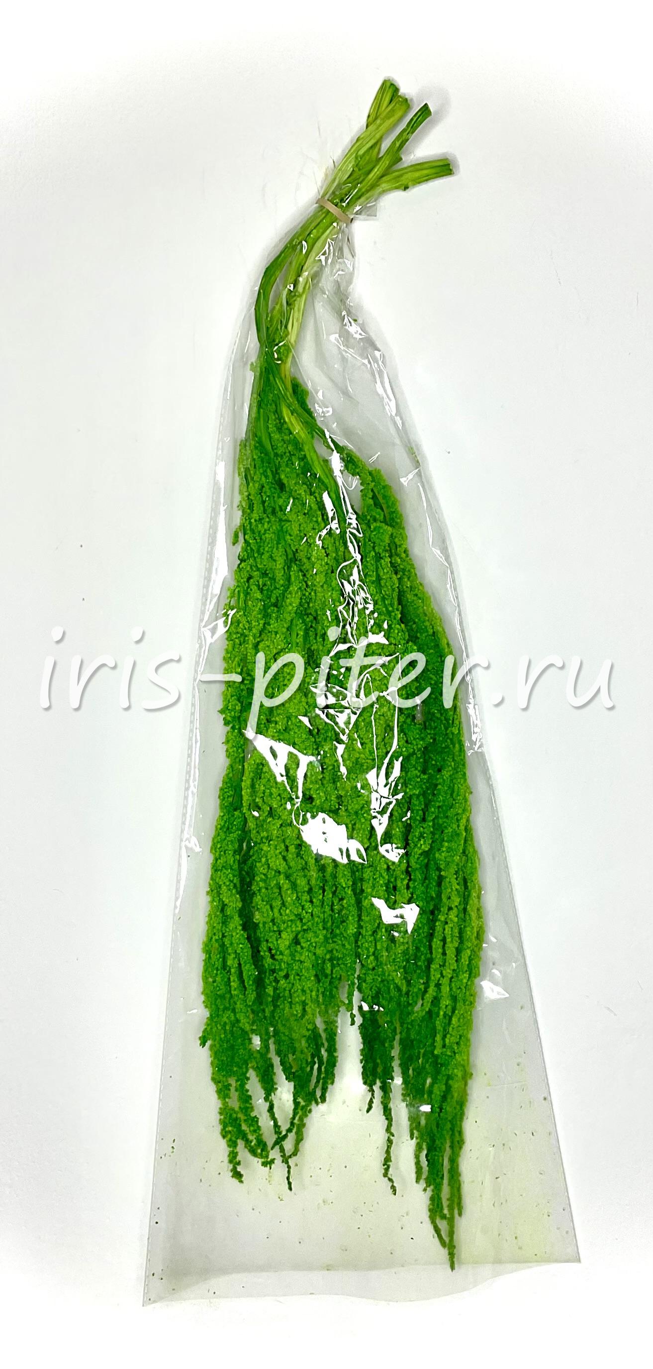 Амарант натуральный стабилизированный 