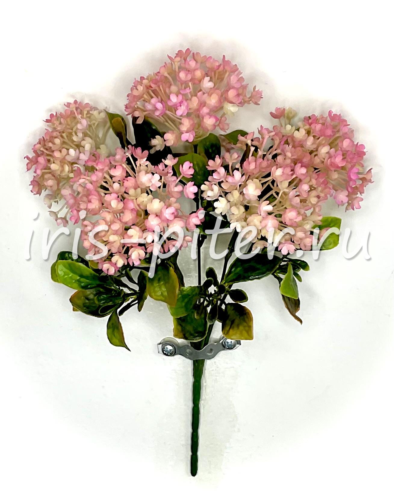 гортензия 5вет пласт