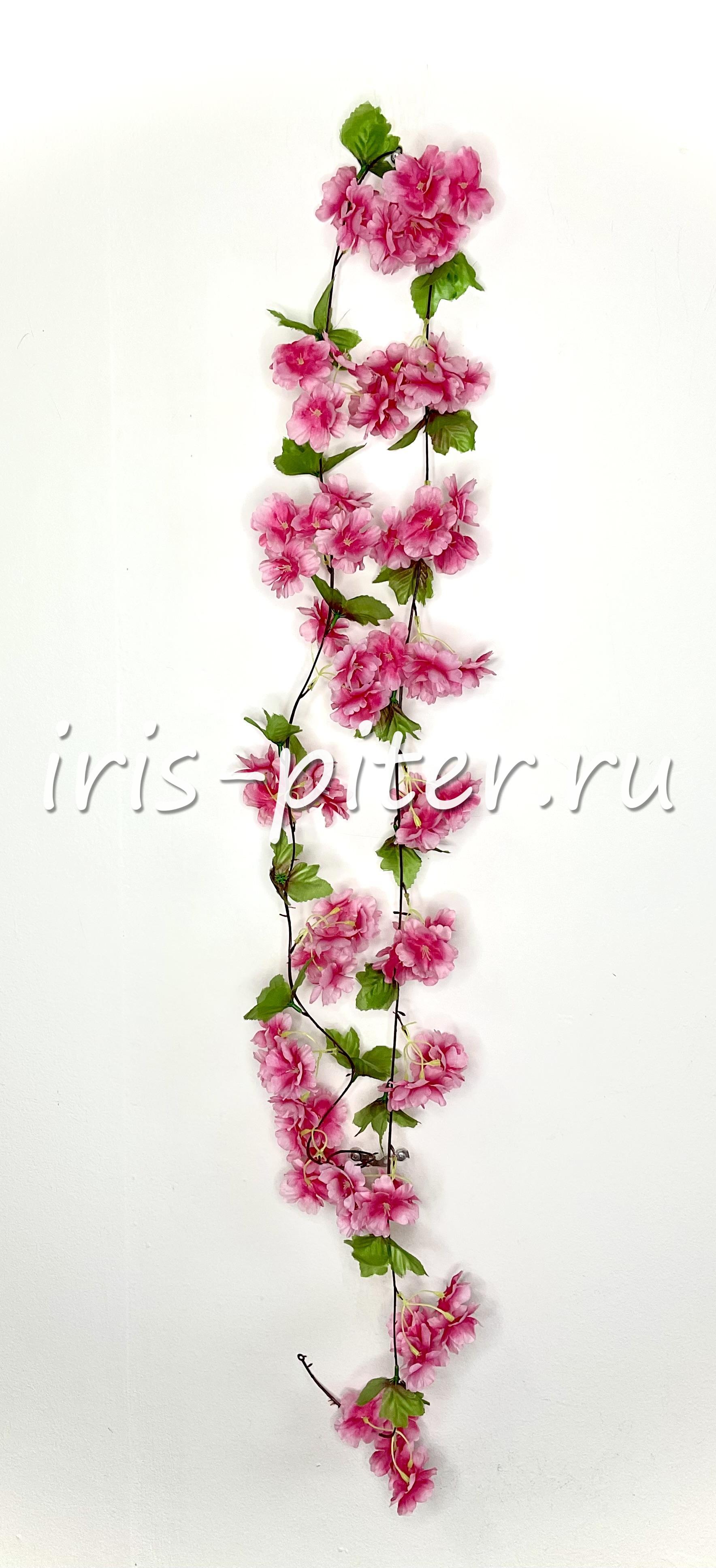 лиана сакура