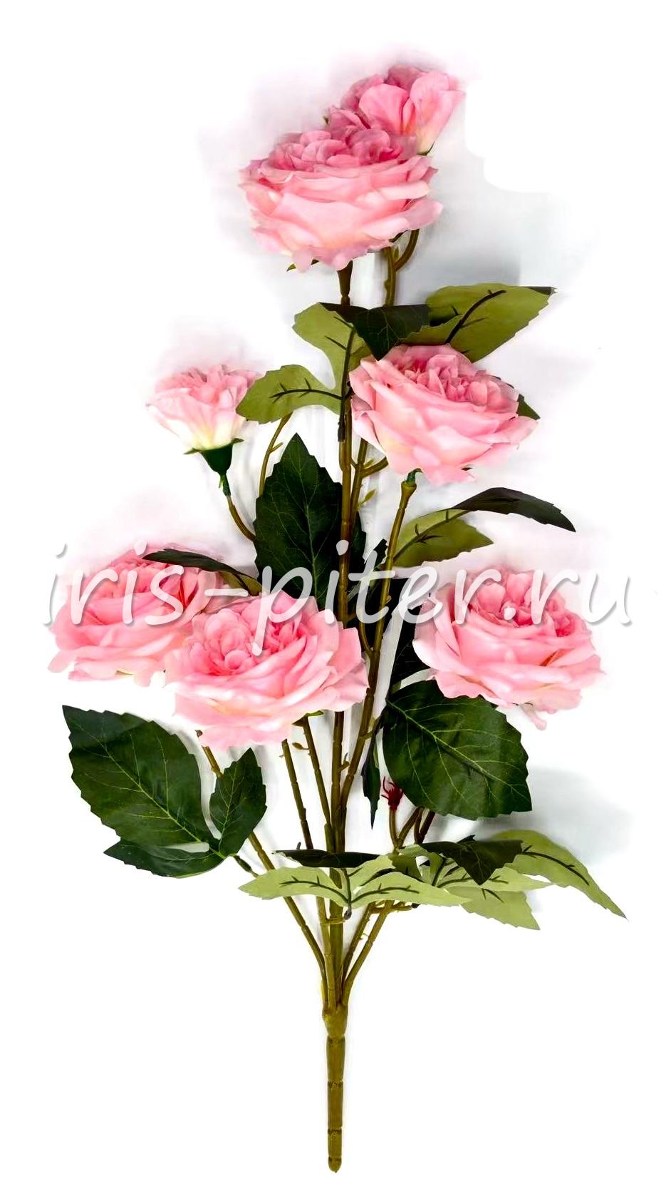 роза 5г 3бут горшечная 