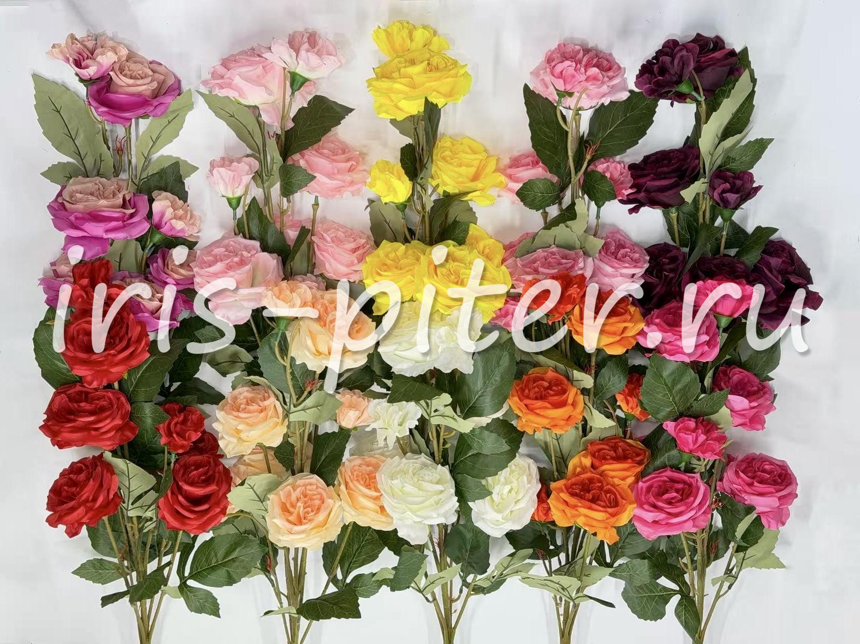 роза 5г 3бут горшечная 