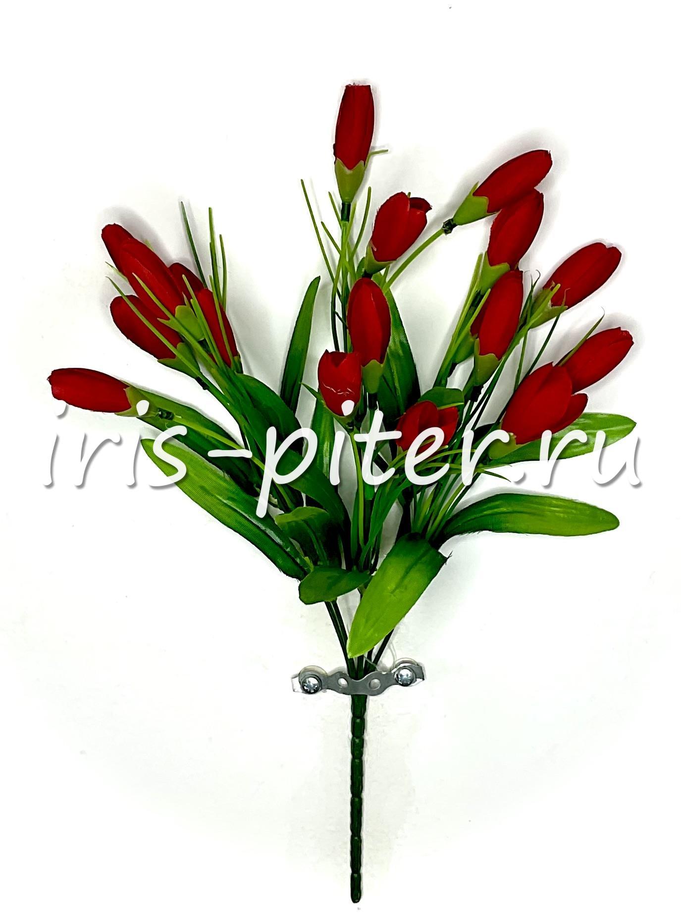 Букет крокус 21г