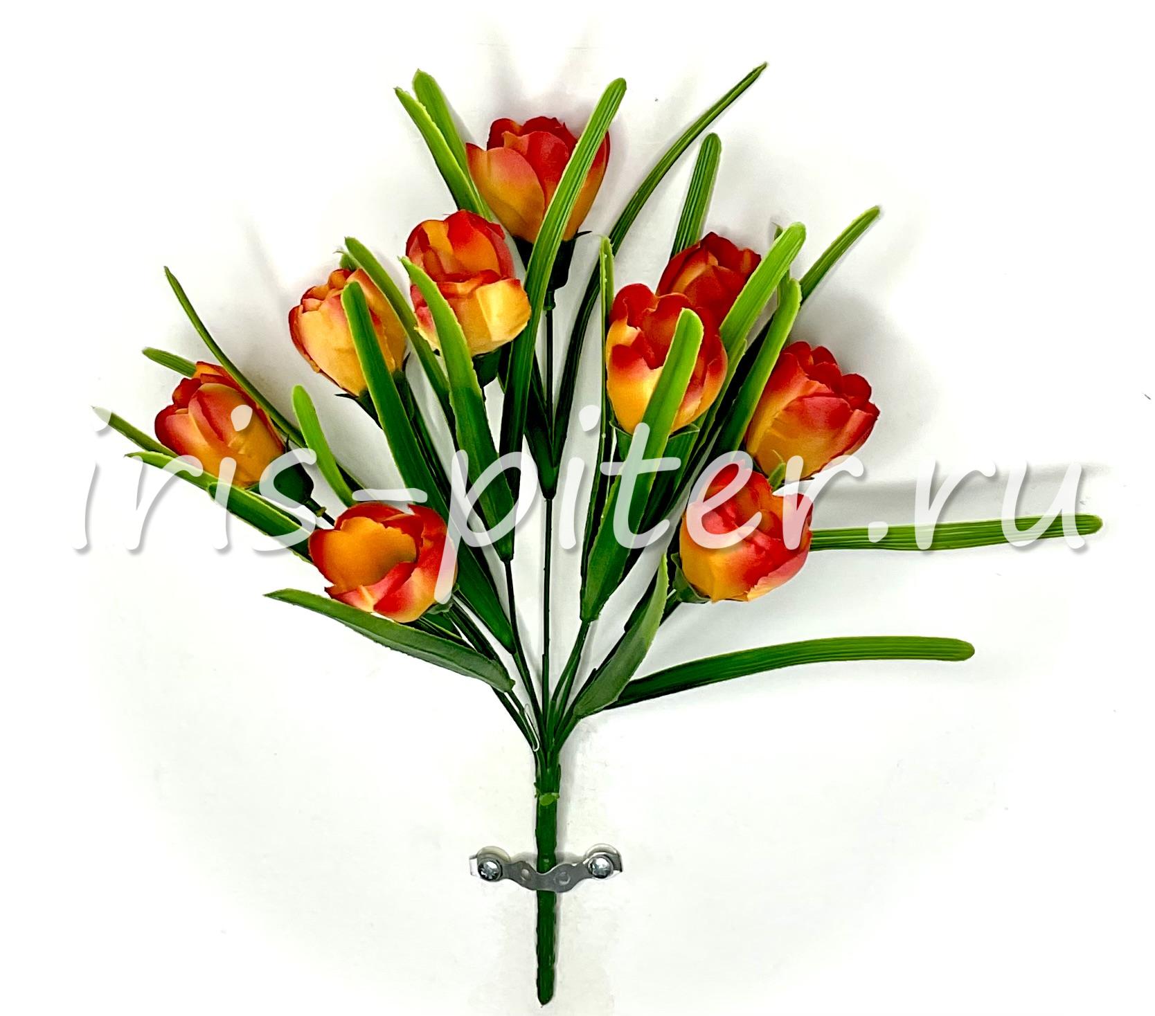 Букет крокус 9г с травой