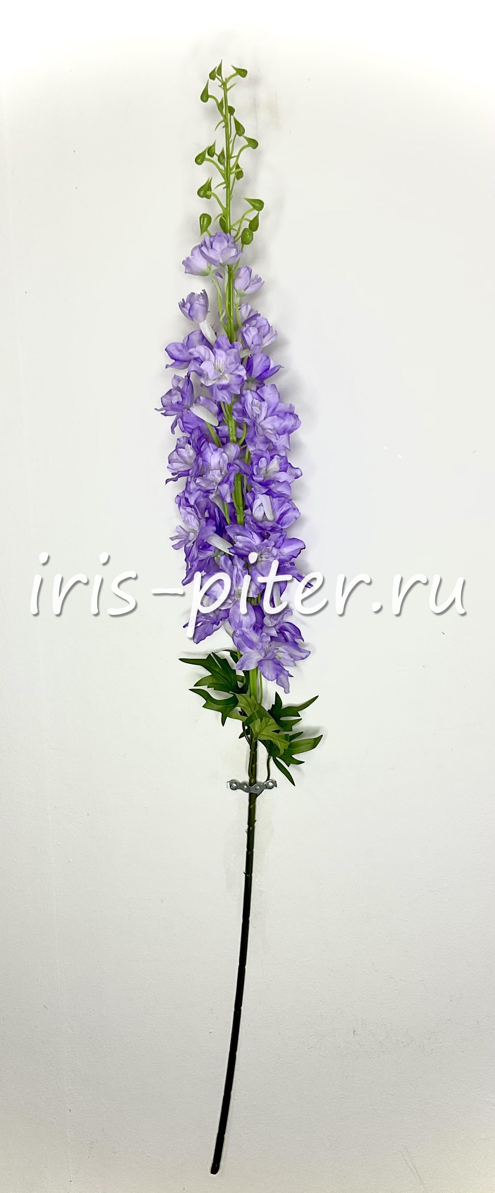 Ветка дельфиниум высокий