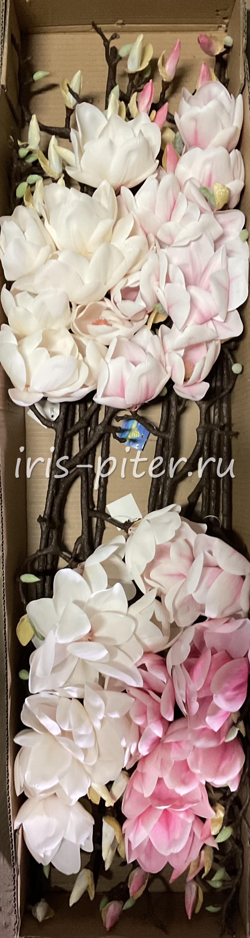 Ветка магнолия 3г 5бут 