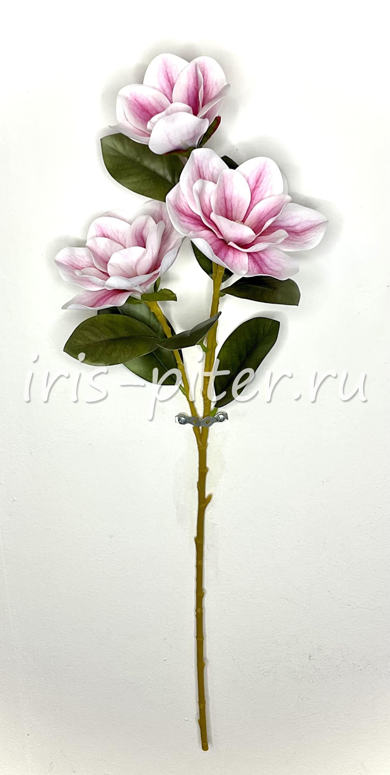 Ветка магнолия 3г