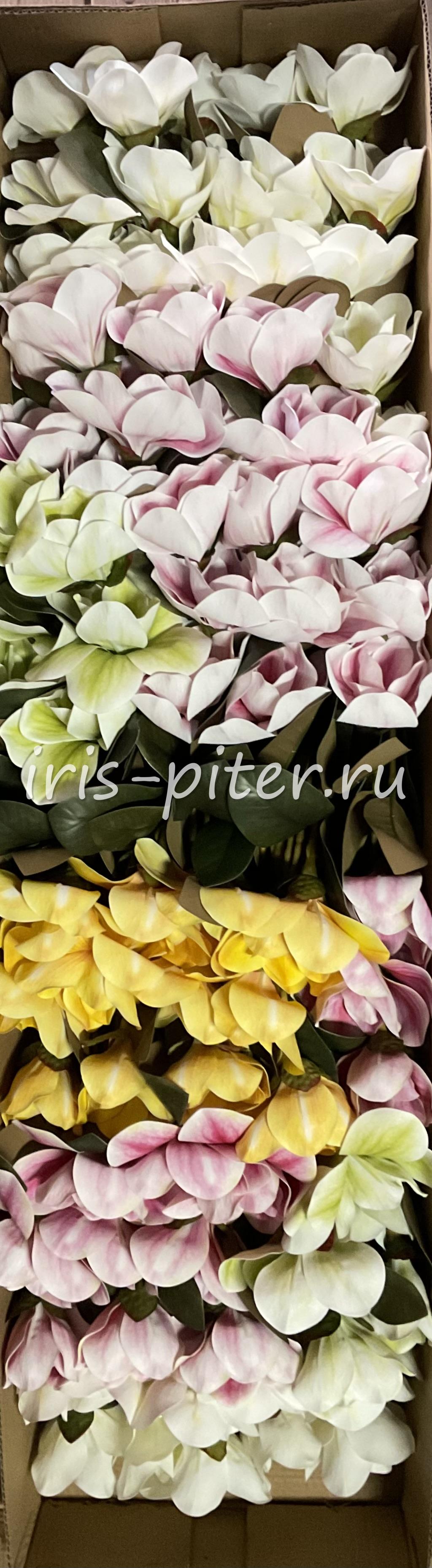 Ветка магнолия 3г