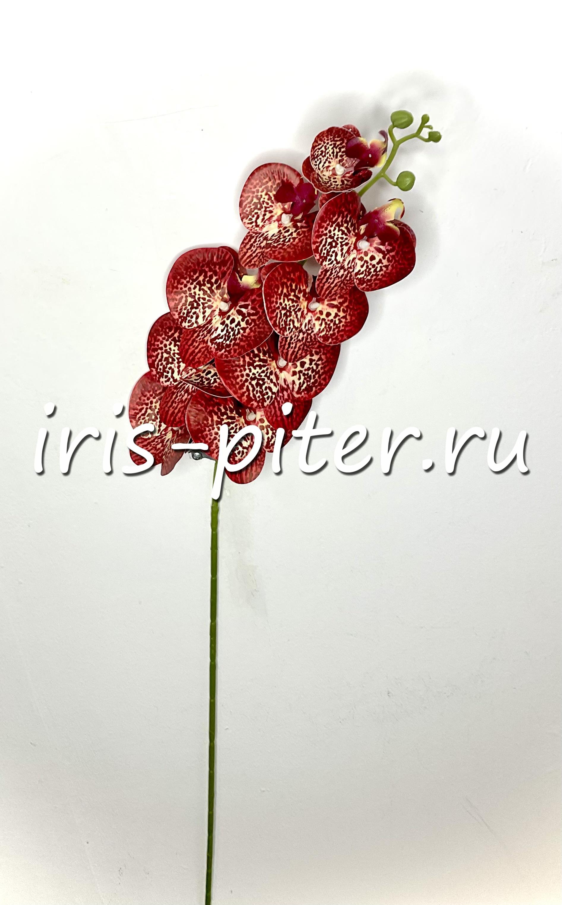 Ветка орхидея 9г