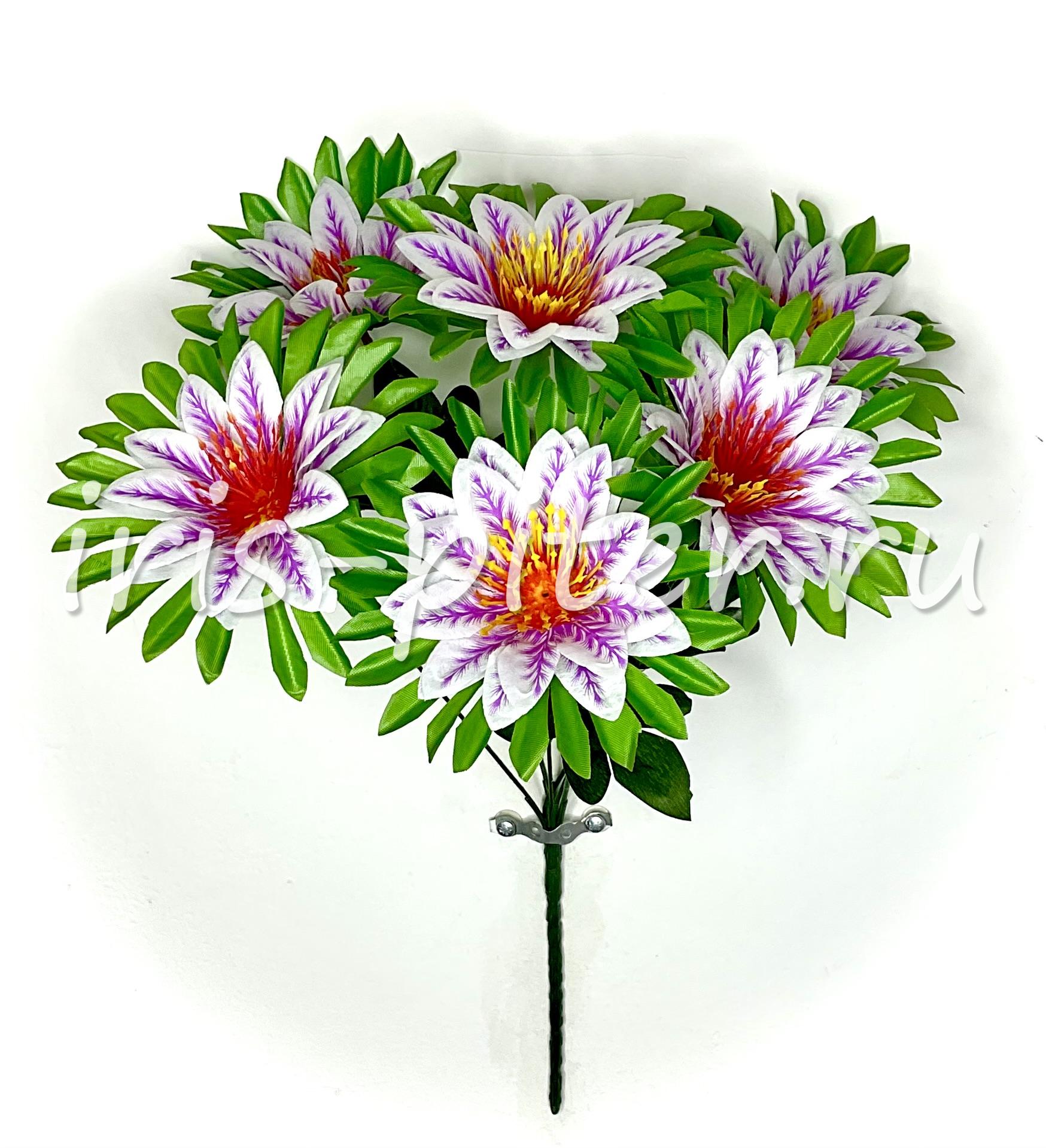 Букет георгин 6г сборный 