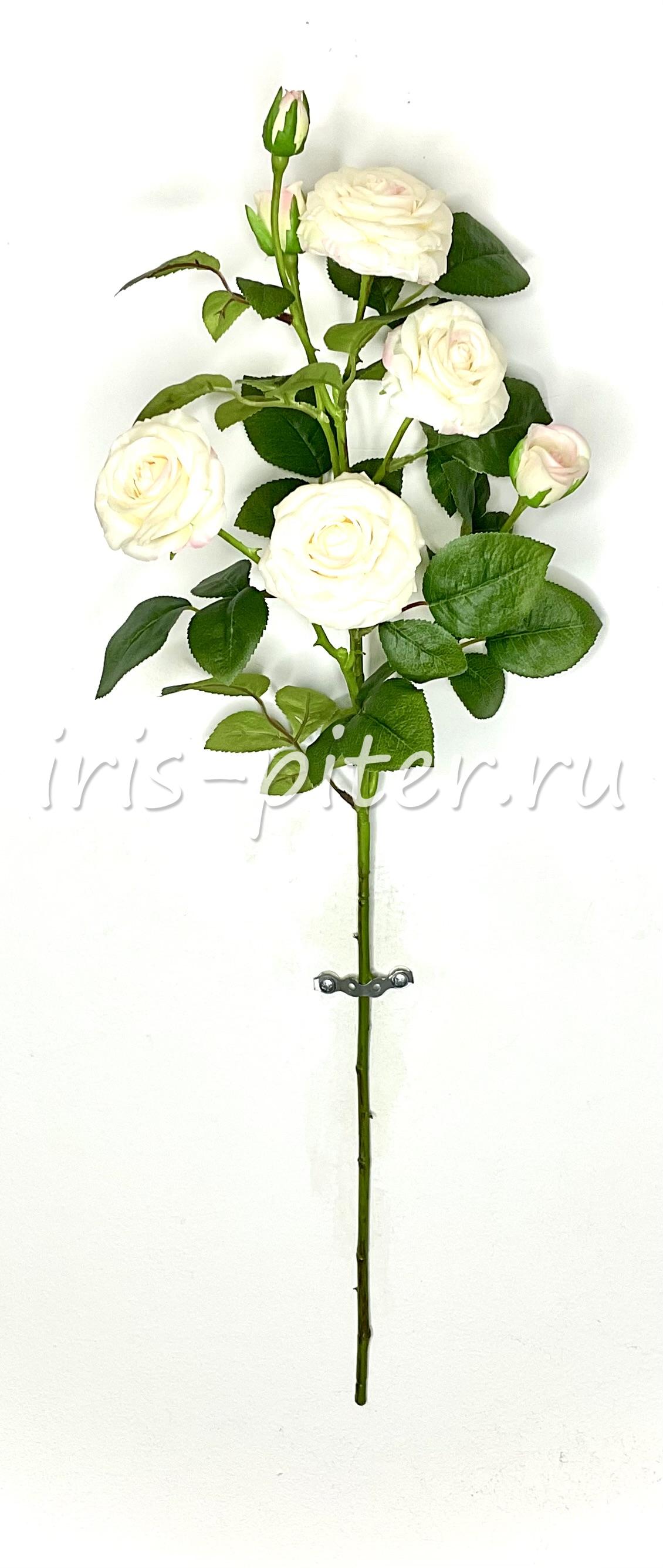 Ветка Роза 4г 3бут латекс 