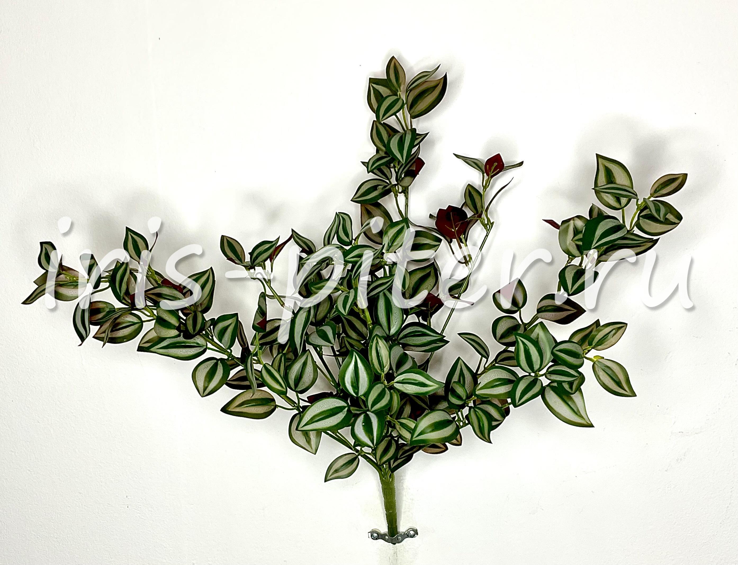 куст горшечный 12вет