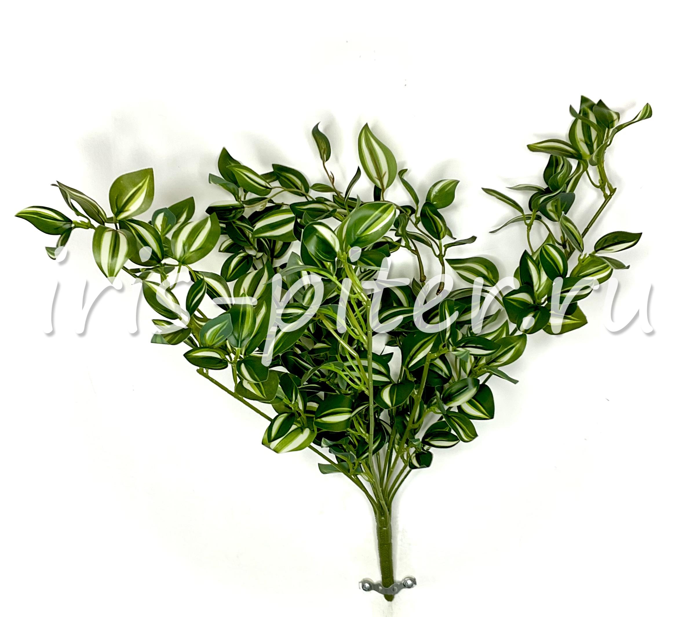 куст горшечный 12вет