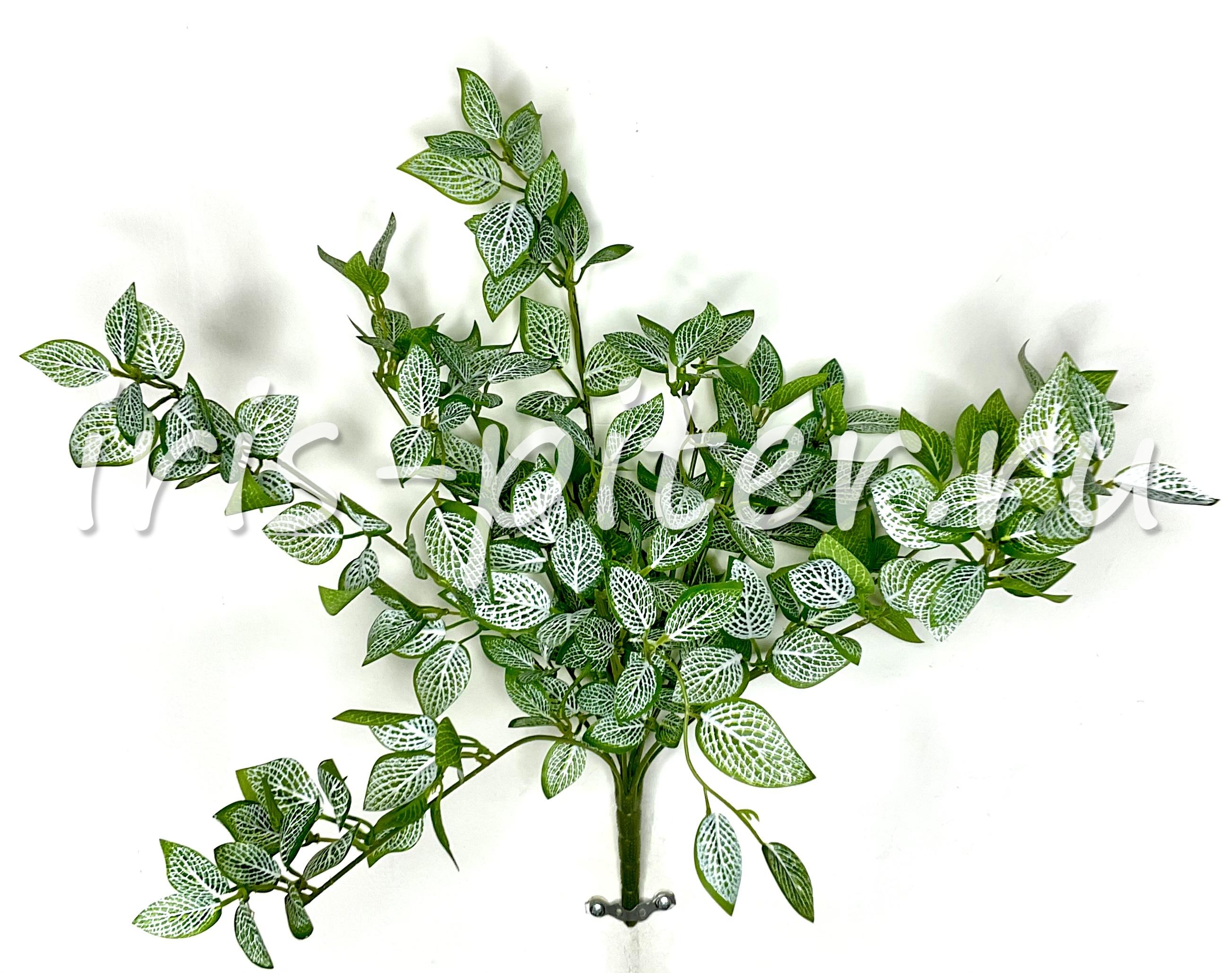 куст горшечный 12вет