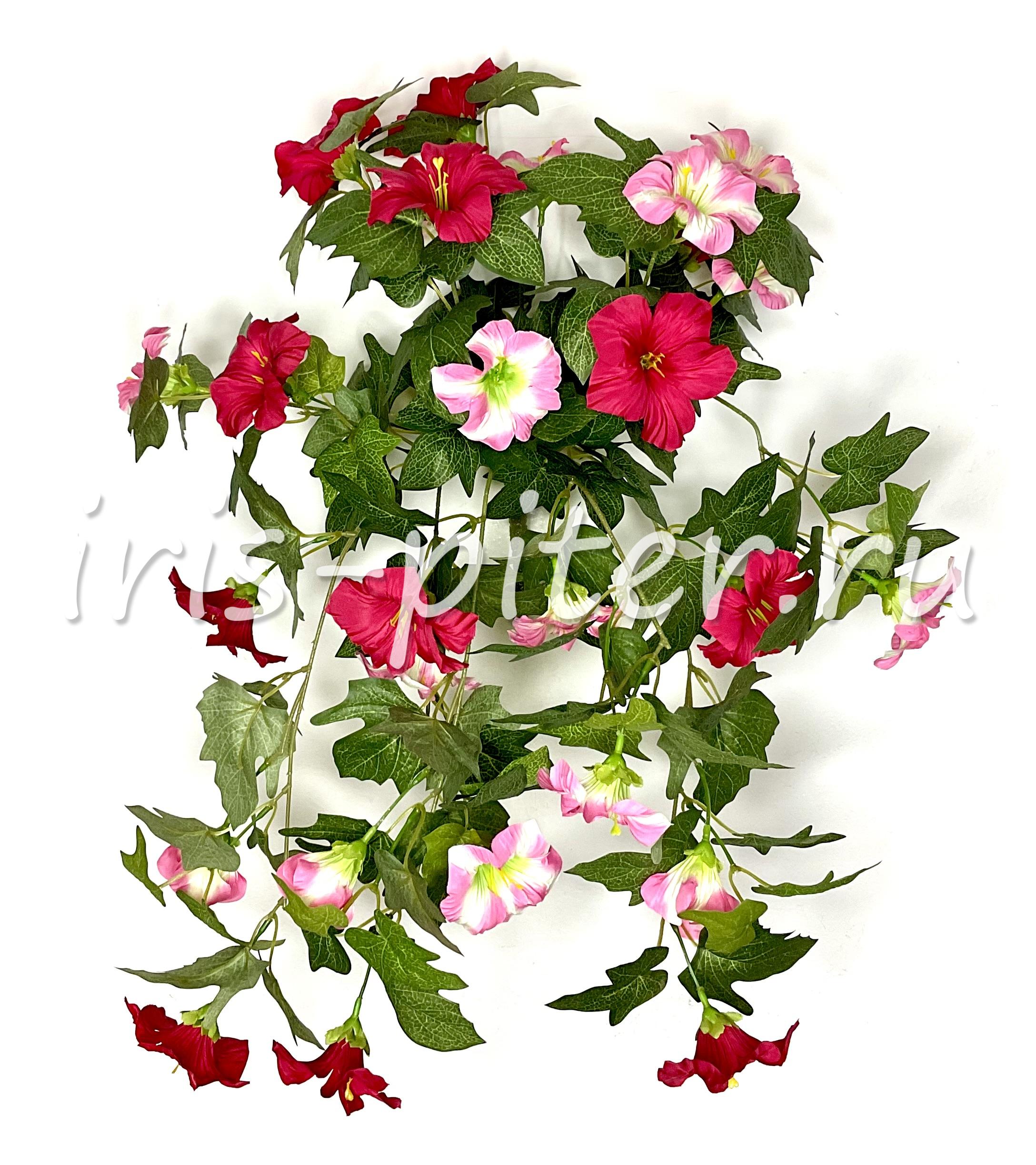 ветка петунья 