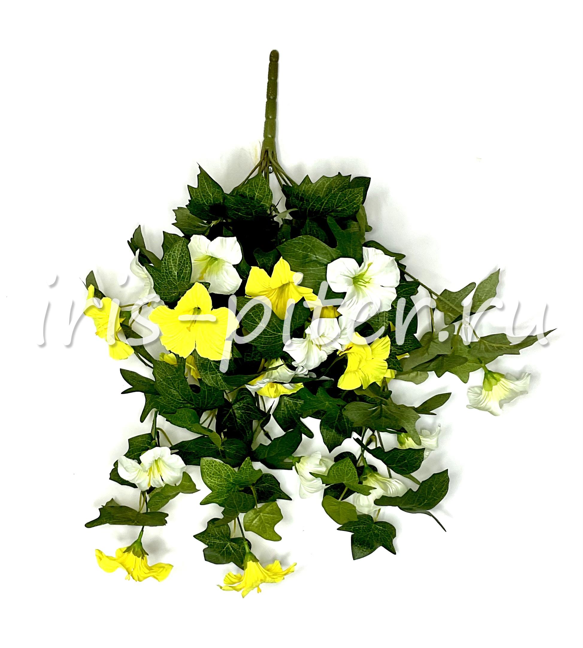 ветка петунья 