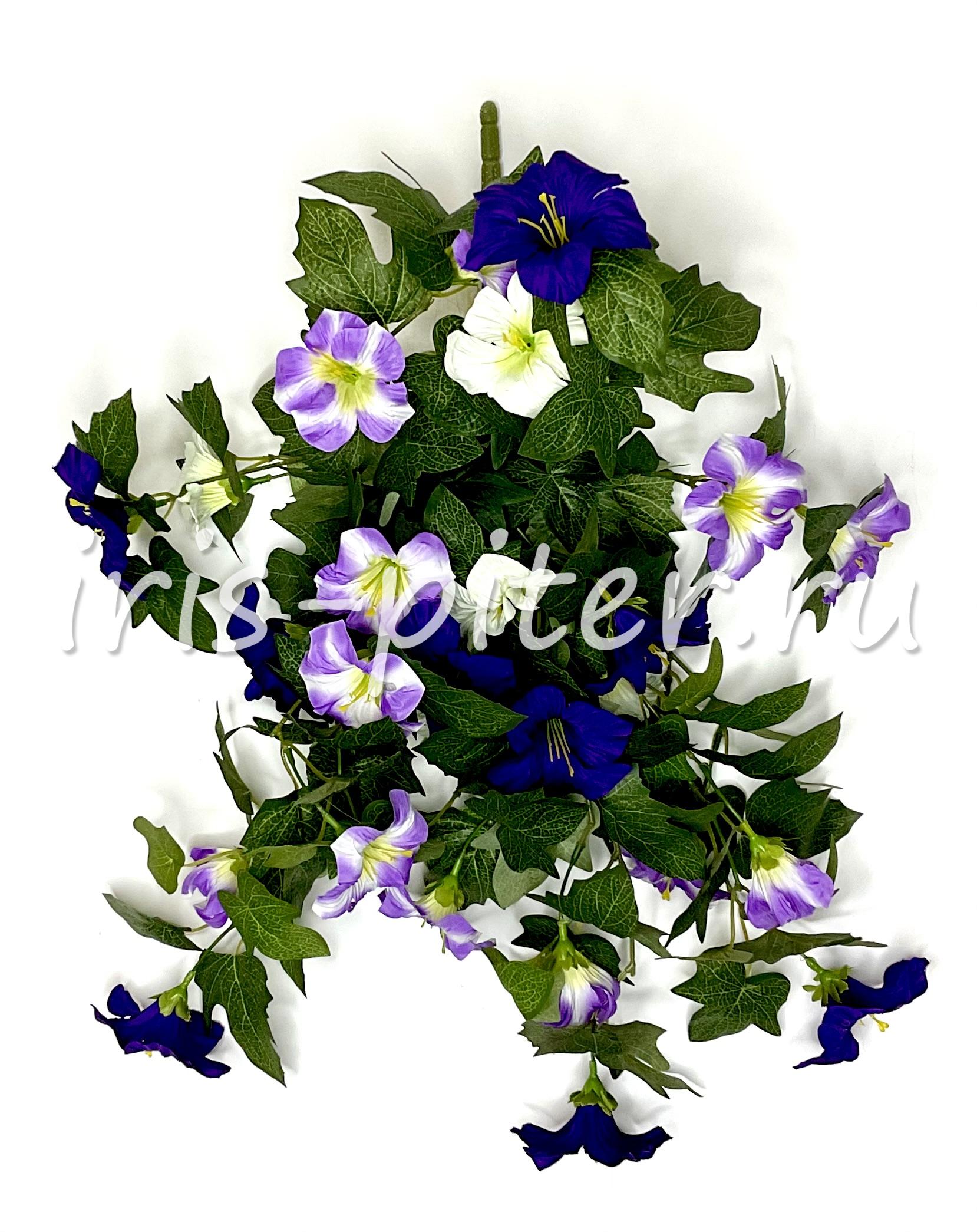 ветка петунья 