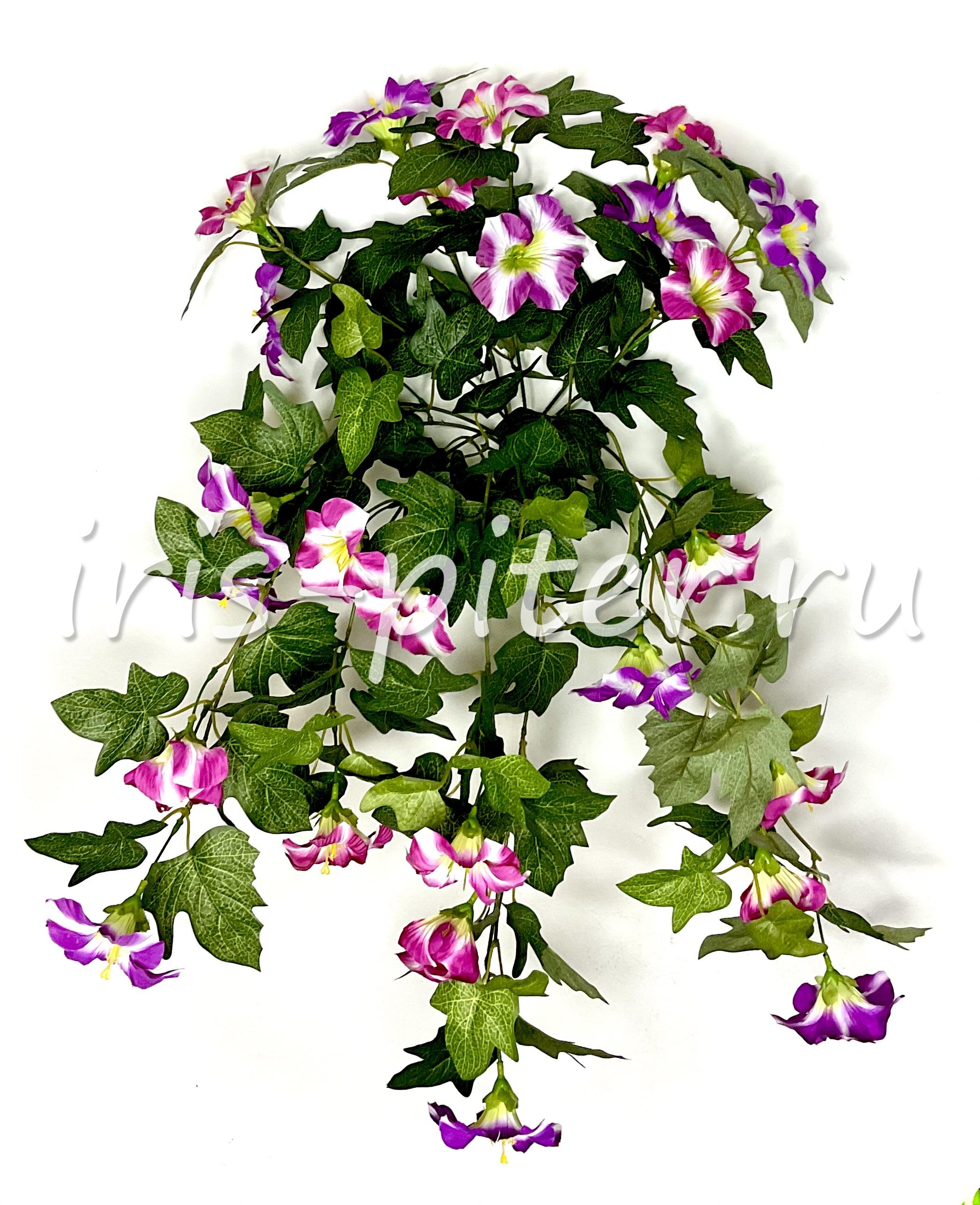 ветка петунья 