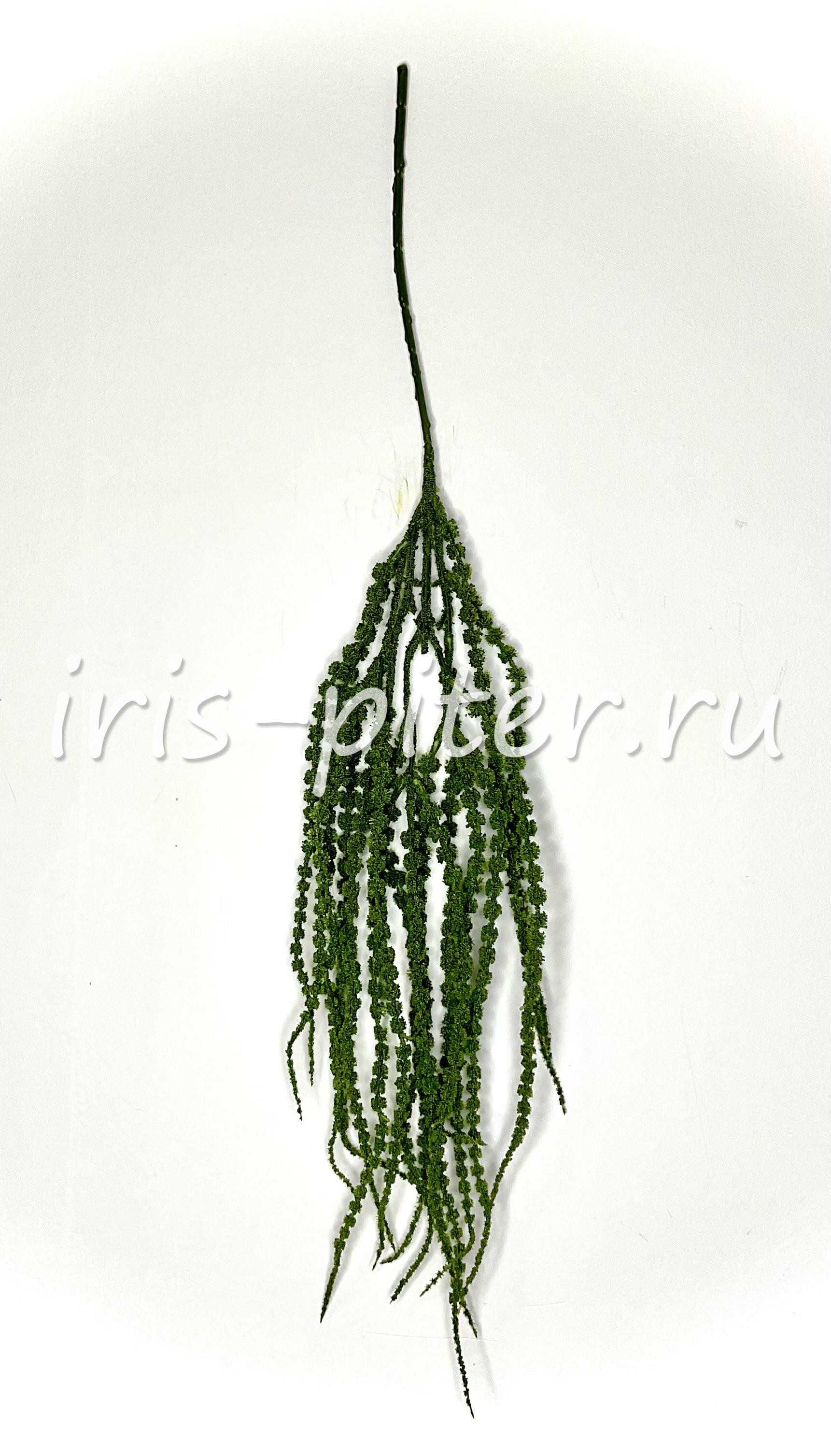 Ветка амарант