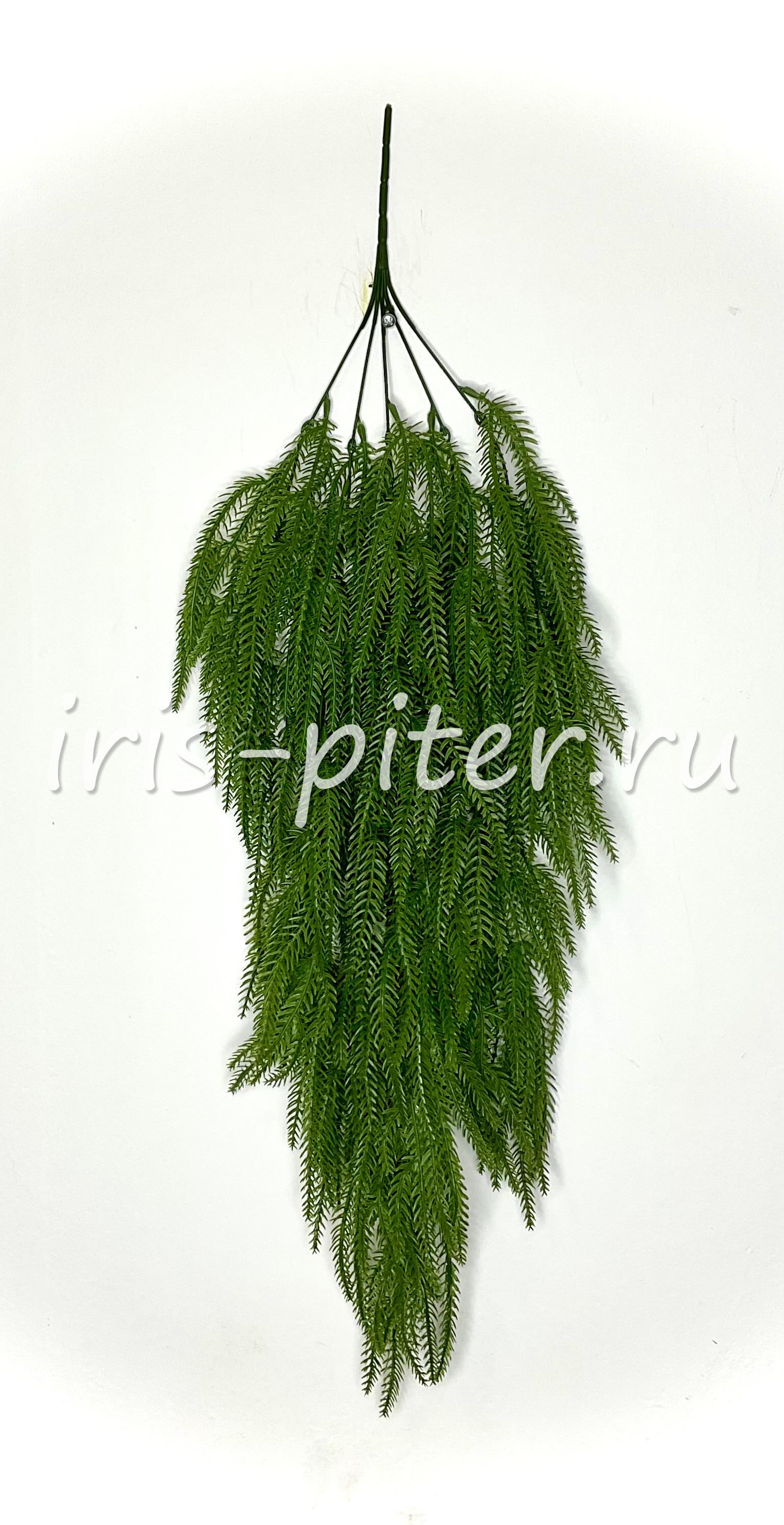 Ветка плаун