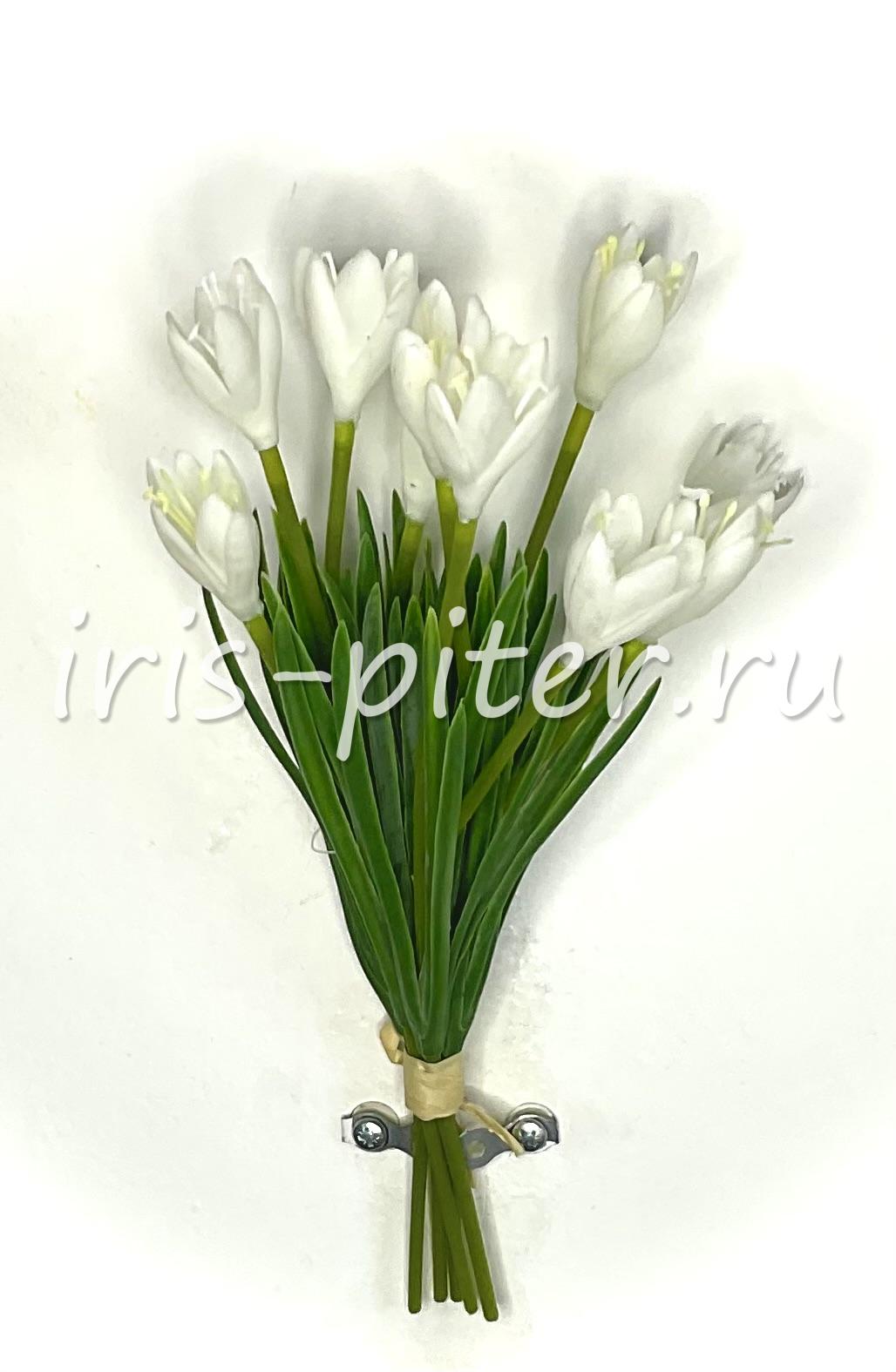 Подснежник 9г латекс