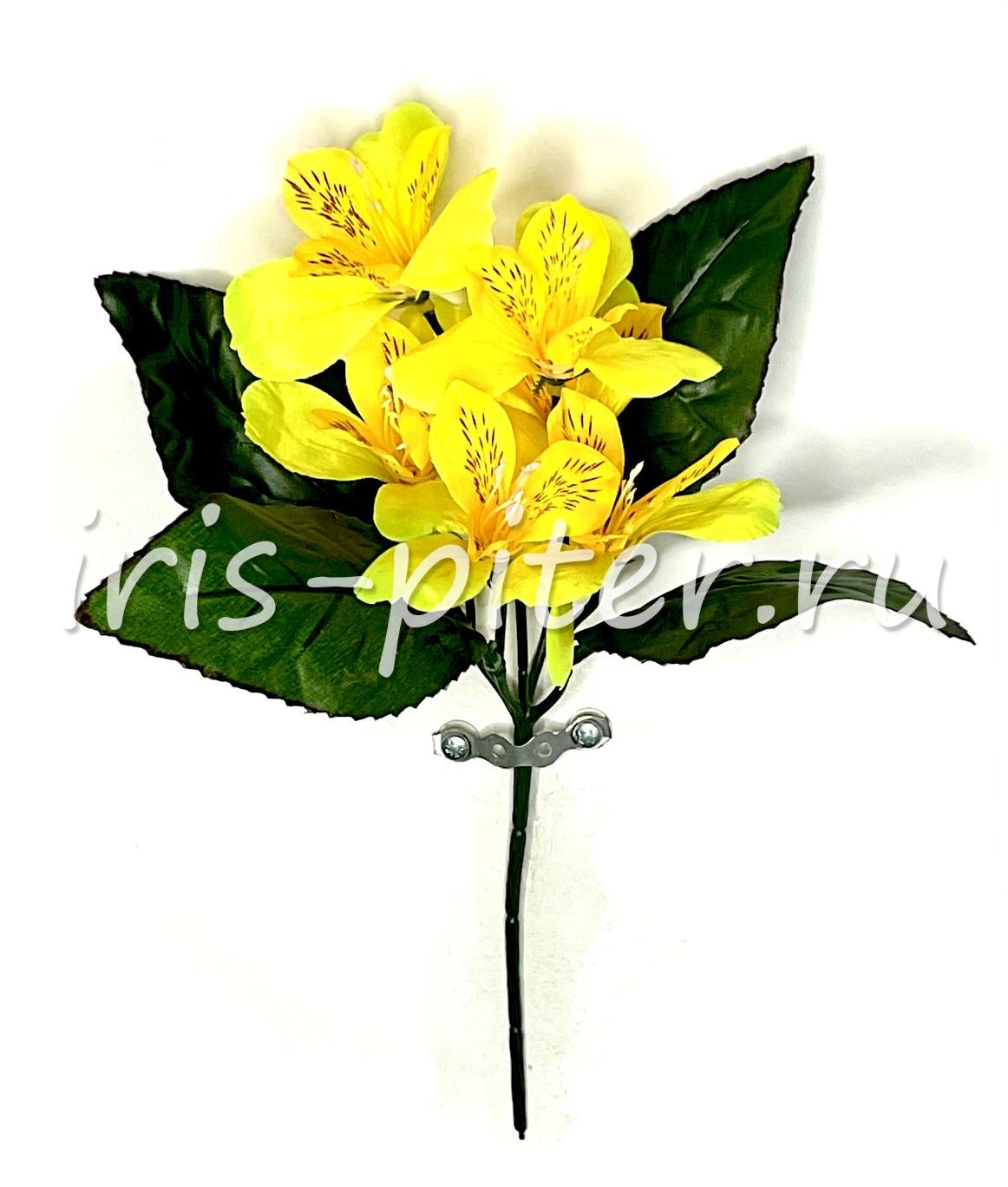 Букет примула 5г 4 листа