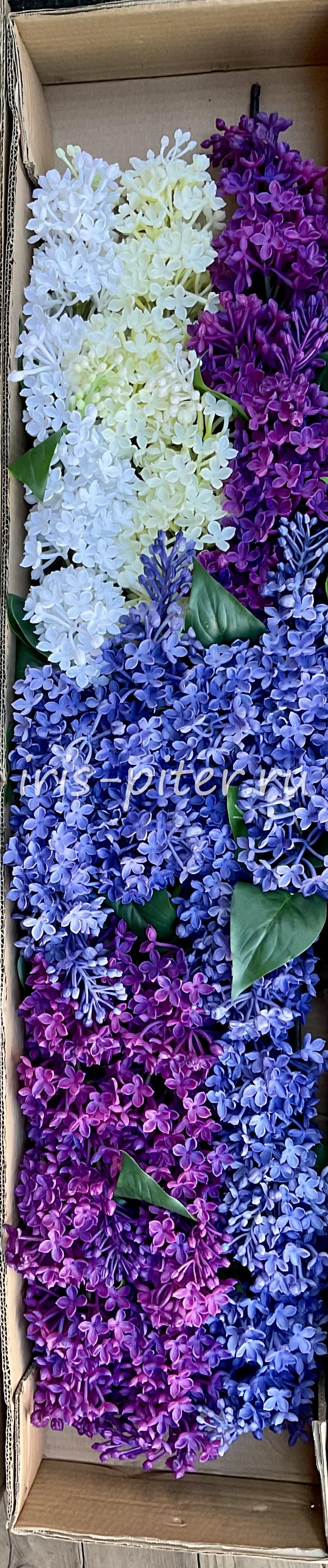 Ветка сирень 2вет латекс 