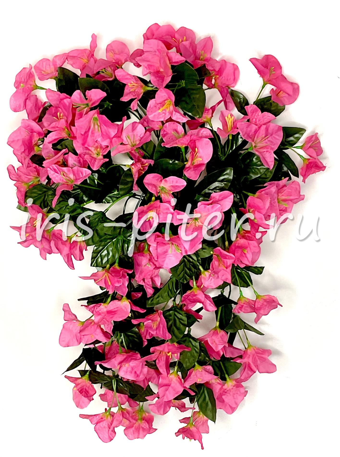 Ветка бугенвиллия ампельная 