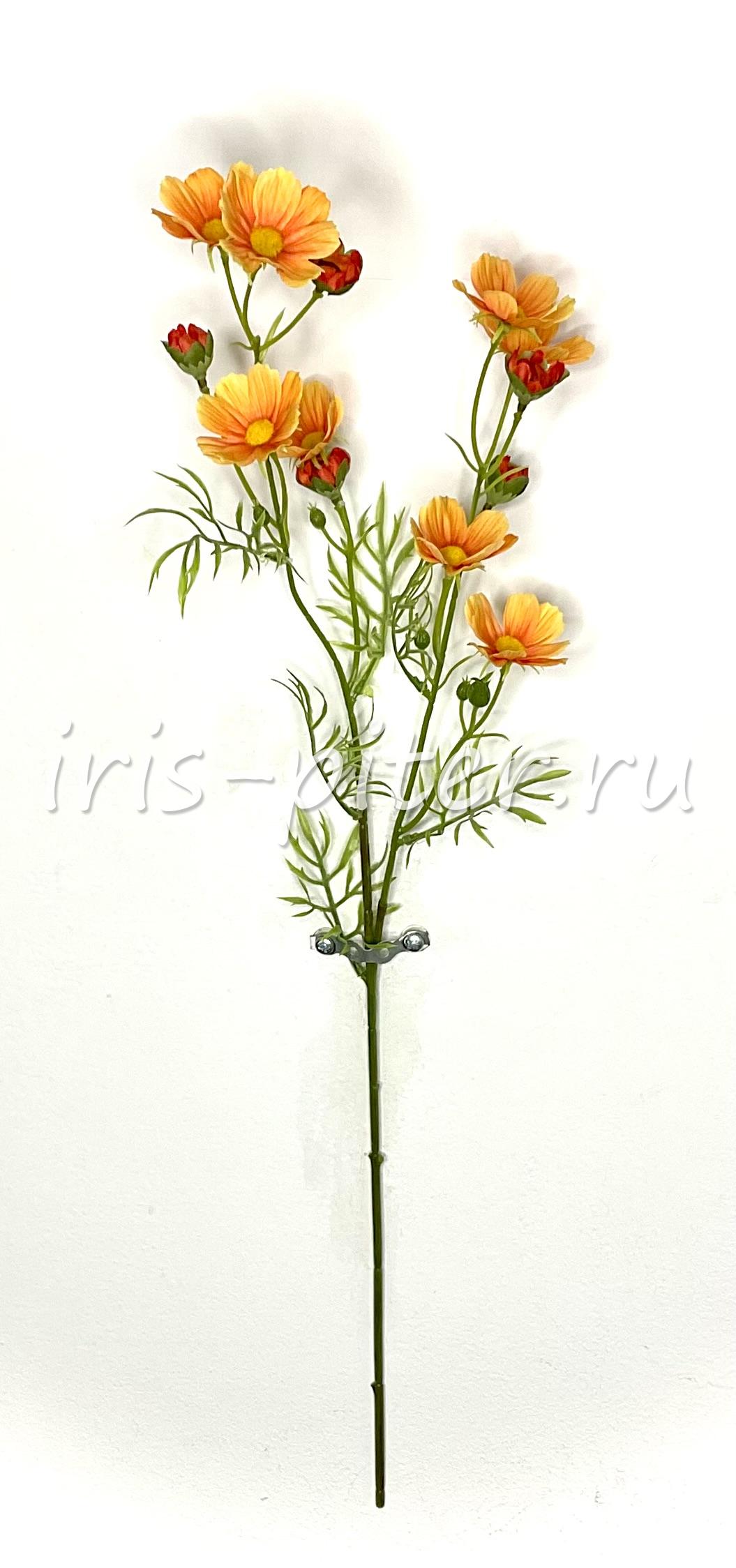 Ветка космея 8г 5бут