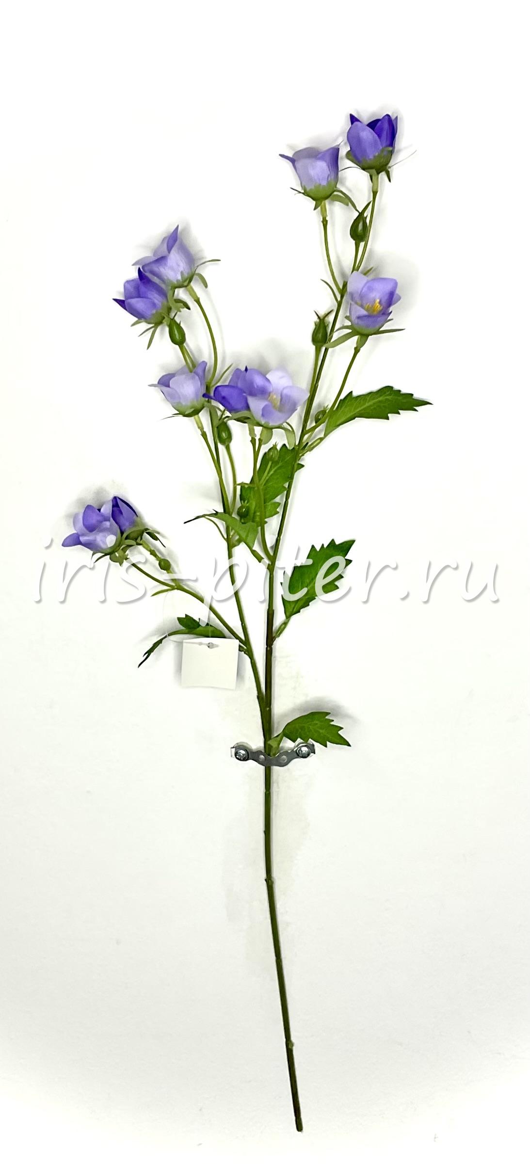 Ветка колокольчик полевой 