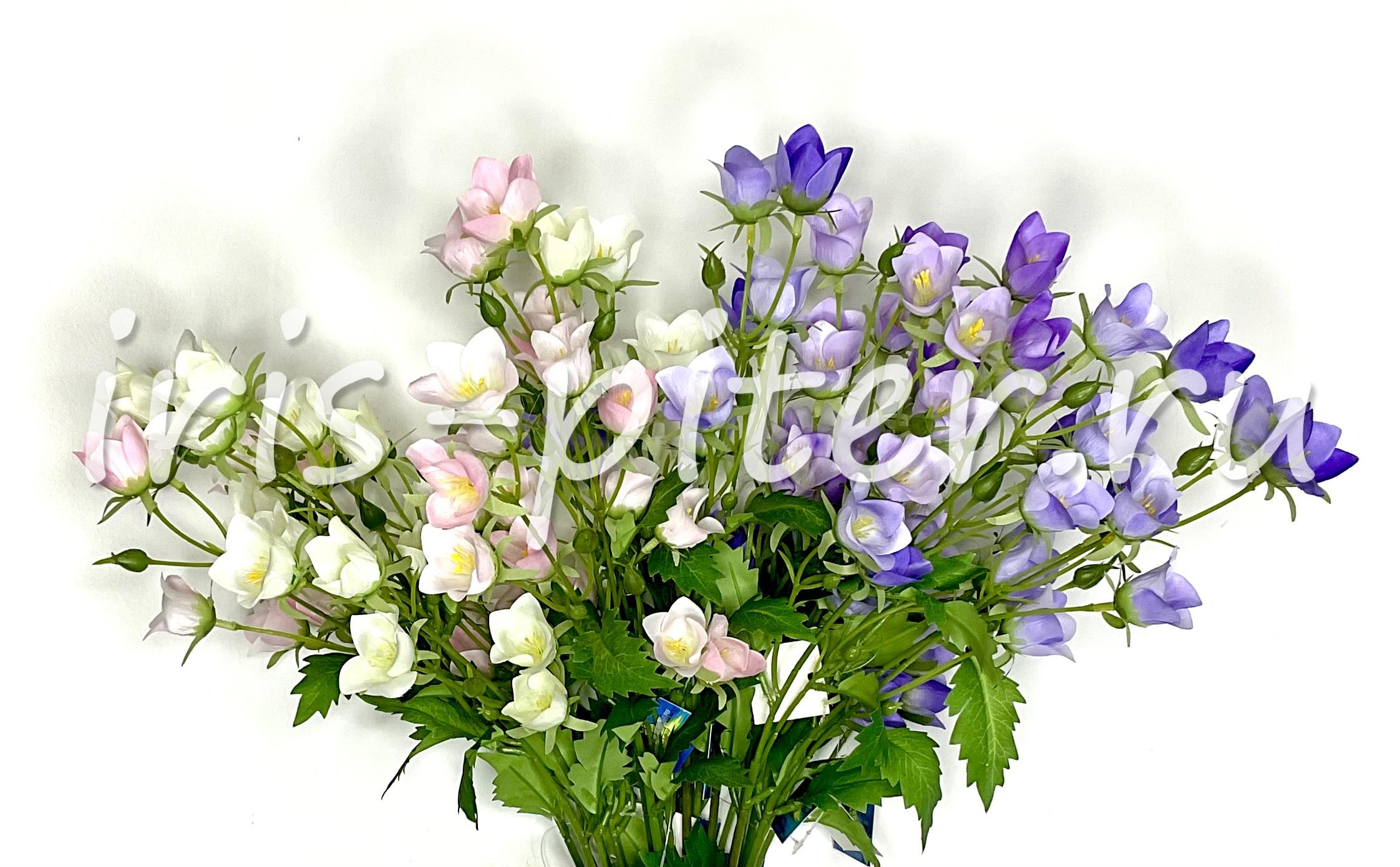 Ветка колокольчик полевой 