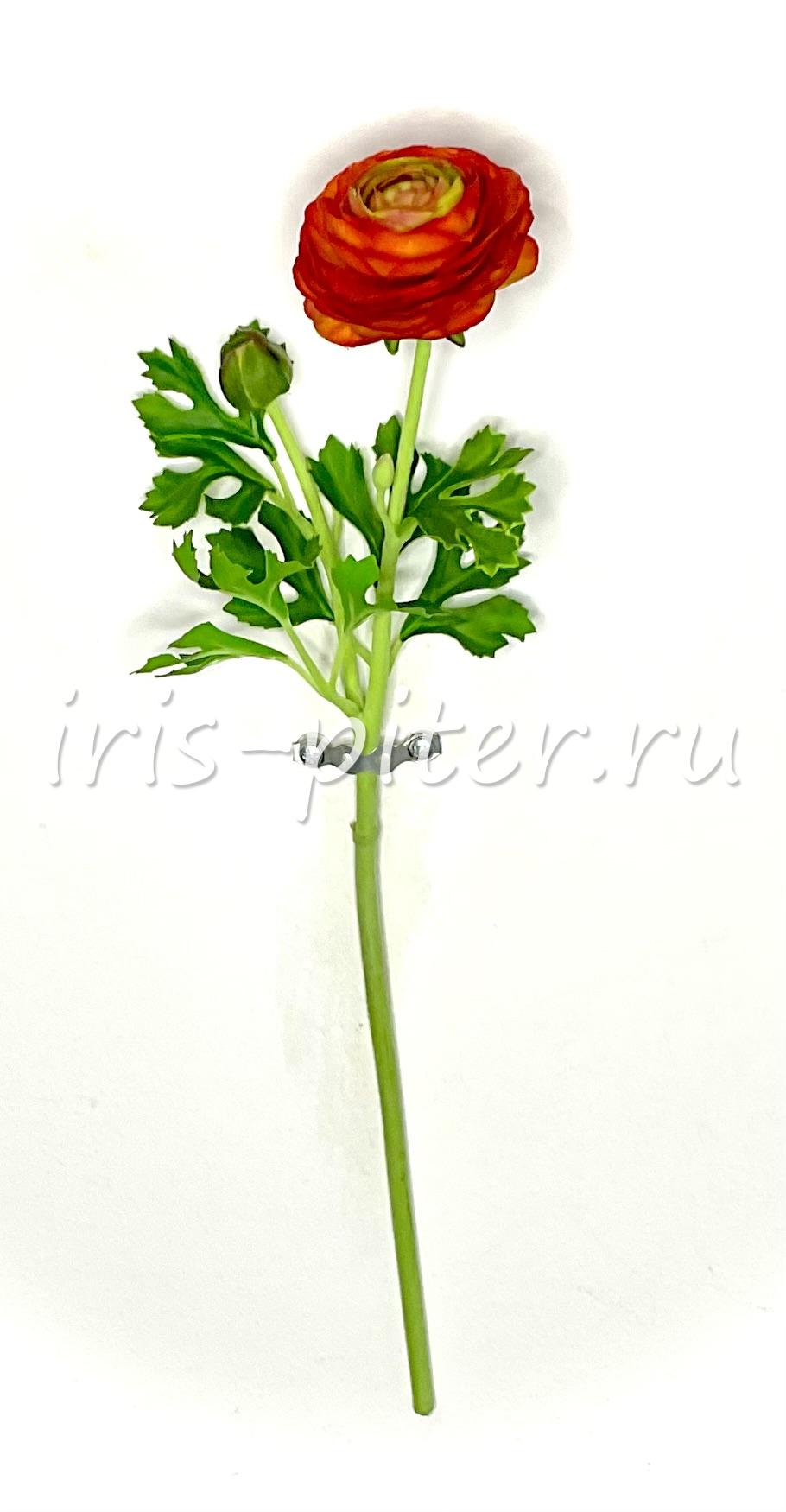 Ветка ранункулус 1г 1бут 