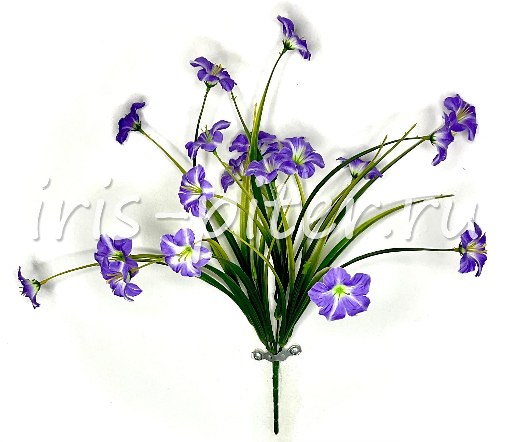 Букет немофила 19г 