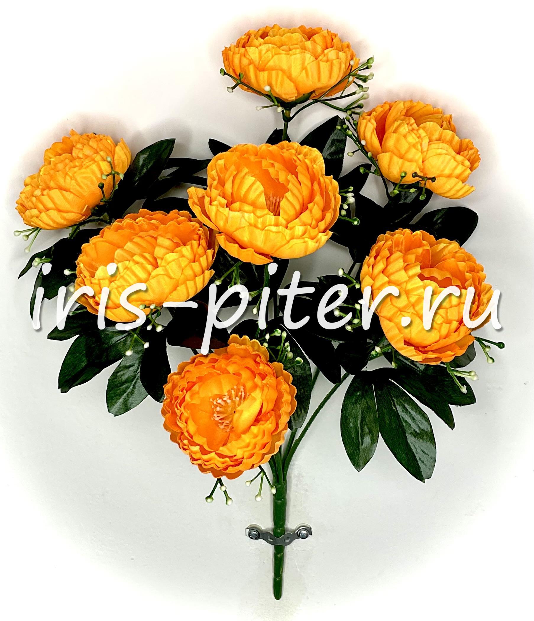 Букет ранункулус 7г