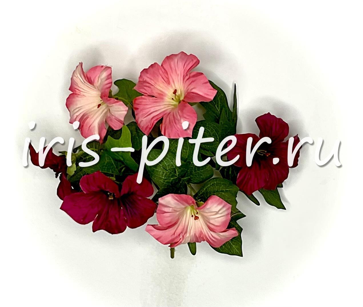 Букет петунья 6г двухцветная