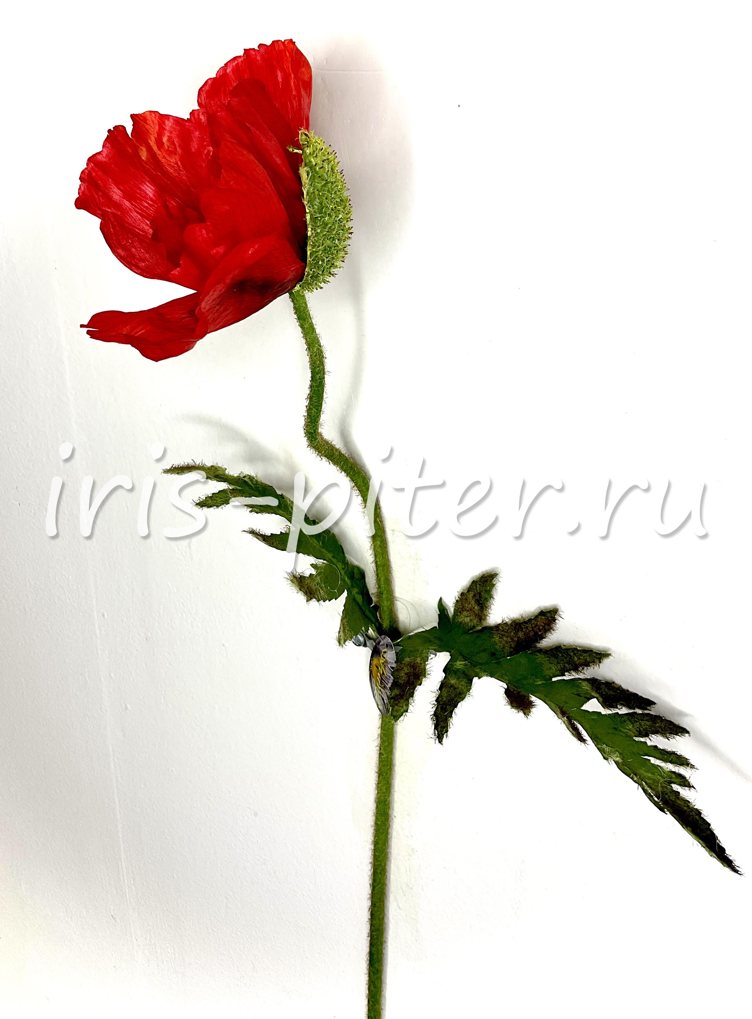 Мак одиночный